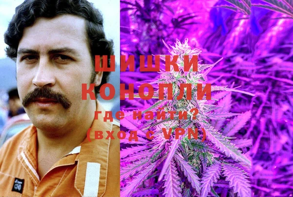 таблы Снежногорск