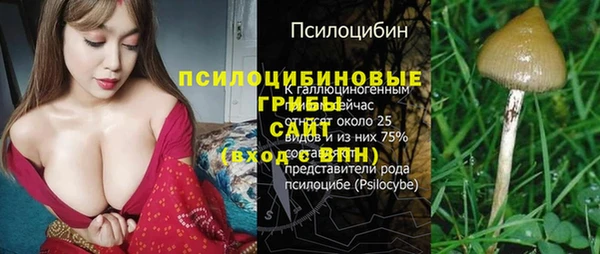 стаф Слюдянка
