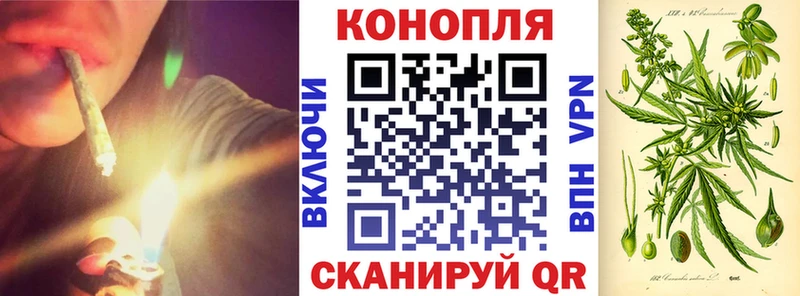 наркошоп Гудермес Каннабис план